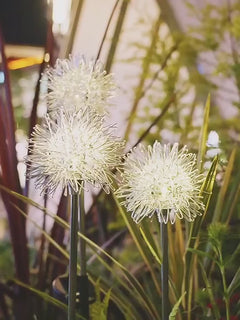 Lorled Beautiful Dandelion Solar Lights Color Changing Ultra Bright Solar Dandelion Lights On Sale