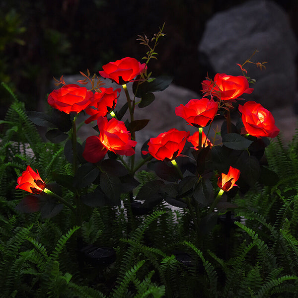 Solar rose lights shop
